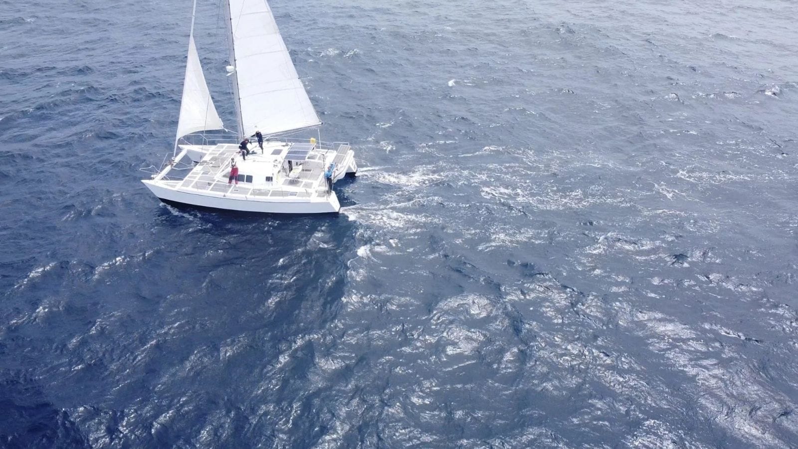 Segelboot auf offener See, Segeltour mit nachhaltiger Lieferung, Seatribe Deliveries, maritime Logistik.